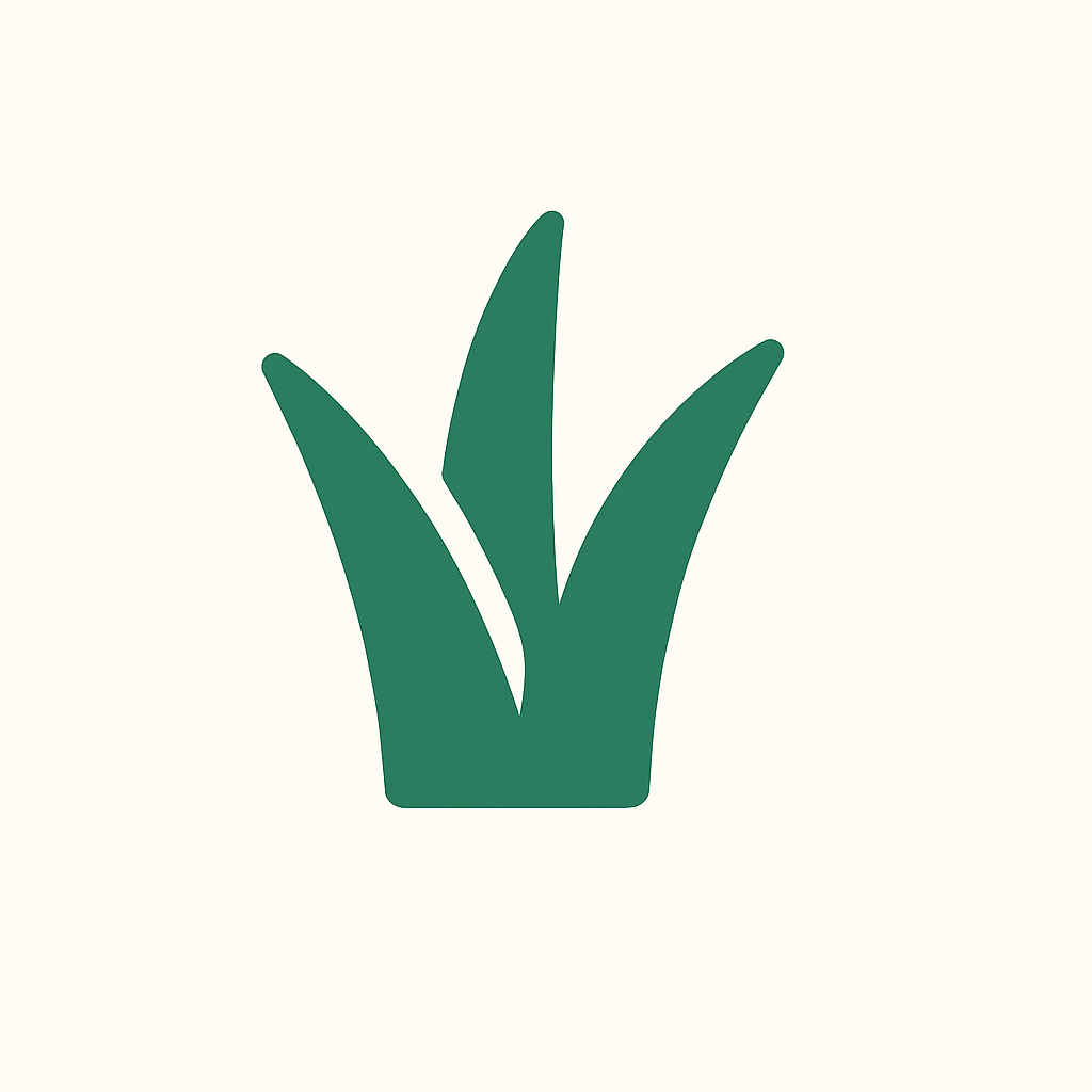 Qazon