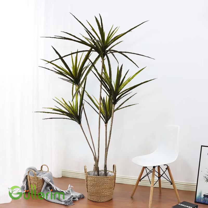 Süni Dracena Palma – Hündür Dekorativ Yaşıl Bitki