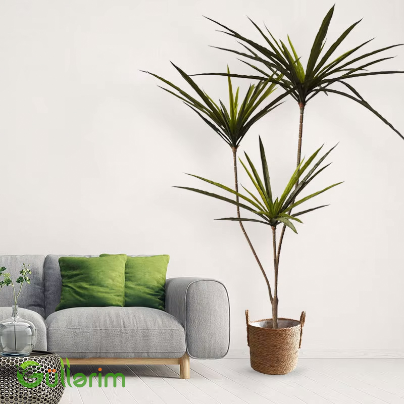 Süni Dracena Palma – Hündür Dekorativ Yaşıl Bitki