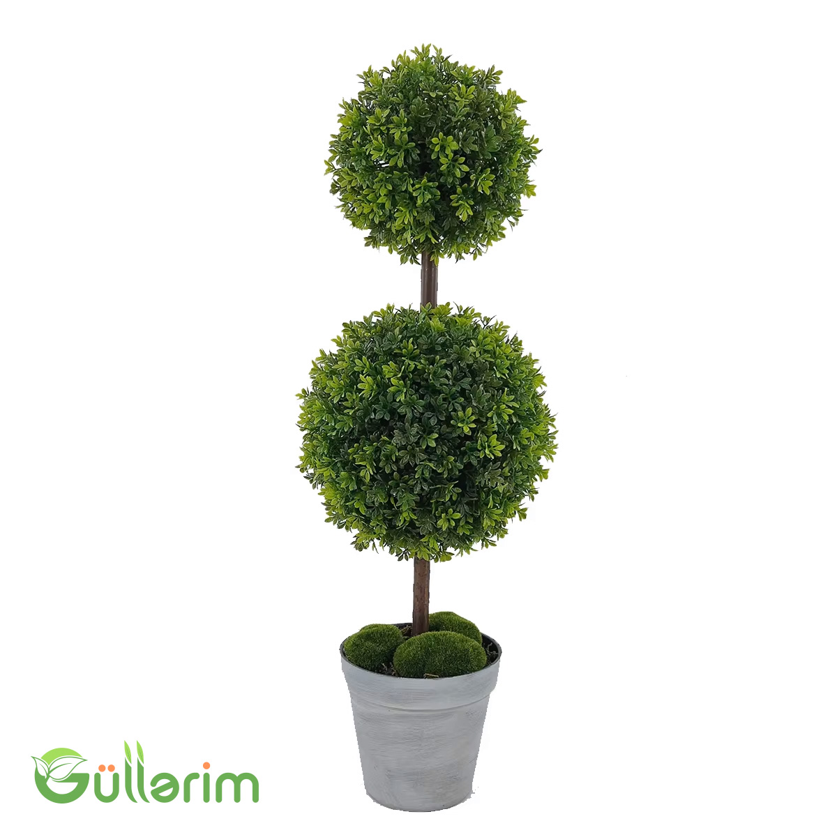 Süni İki Toplu Buxar Ağacı – Dekorativ Topiary Bitki