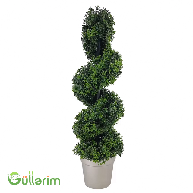 Süni Spiral Buxar Ağacı – Dekorativ Heliks Formalı Topiary Bitki