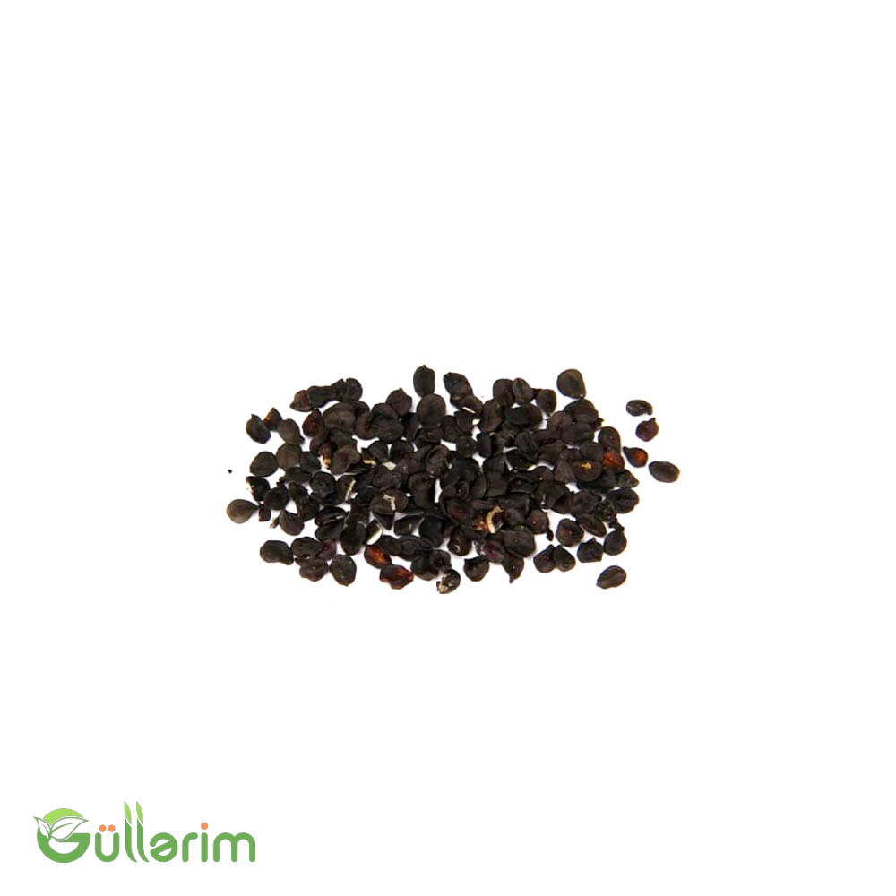 Çin Qərənfili (Dianthus chinensis)